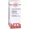 HYDROCOTYLE asiatica D 12 Skiedimas, 20 ml