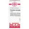PHOSPHORUS AMORPHUS D 10 tablečių, 80 vnt