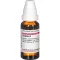 ZINGIBER Motinos tinktūra, 20 ml