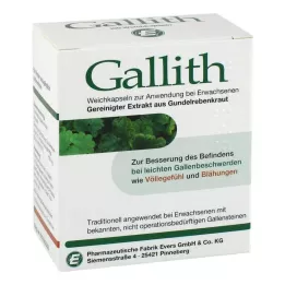 GALLITH kapsulės, 100 vnt
