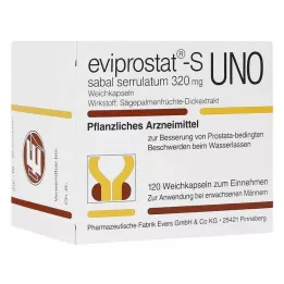 EVIPROSTAT-S sabal serrulatum 320 uno kapsulės, 120 vnt