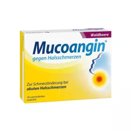 MUCOANGIN Laukinių uogų 20 mg pastilės, 18 vnt