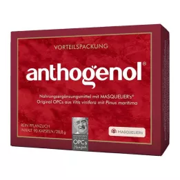OPC ORIGINAL Masqueliers Anthogenol kapsulės, 90 vnt
