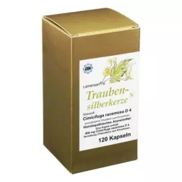 TRAUBENSILBERKERZE Kapsulės, 120 vnt