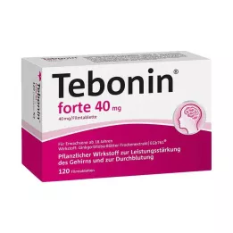 TEBONIN forte 40 mg plėvele dengtos tabletės, 120 vnt
