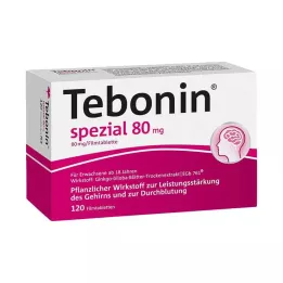 TEBONIN specialios 80 mg plėvele dengtos tabletės, 120 vnt