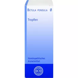 BETULA PENDULA Hanosan motininė tinktūra, 20 ml