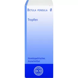 BETULA PENDULA Motinos tinktūra Hanosan, 50 ml