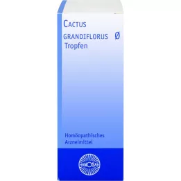CACTUS GRANDIFLORUS Hanosan motininė tinktūra, 20 ml