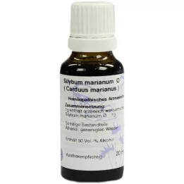 CARDUUS MARIANUS Hanosan motininė tinktūra, 20 ml