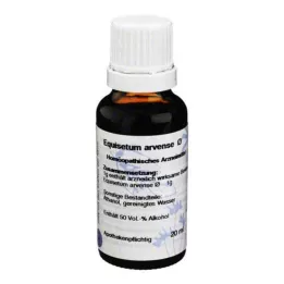 EQUISETUM Hanosan motininė tinktūra, 20 ml