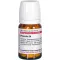 PROPOLIS D 4 tabletės, 80 vnt