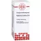 RAPHANUS SATIVUS D 6 Skiedimas, 20 ml