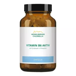 VITAMIN B6 KAPSULES, 120 vnt