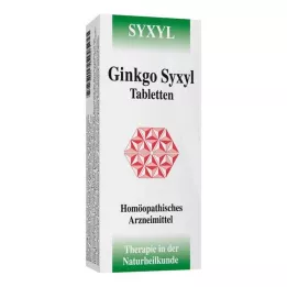 GINKGO SYXYL Tabletės, 120 vnt