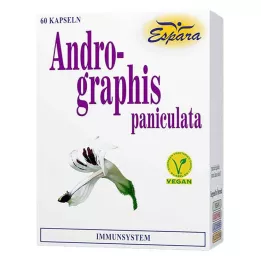 ANDROGRAPHIS paniculata kapsulės, 60 vnt