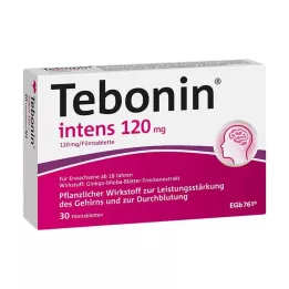 TEBONIN intens 120 mg plėvele dengtos tabletės, 30 vnt