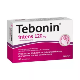 TEBONIN intens 120 mg plėvele dengtos tabletės, 60 vnt