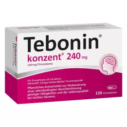 TEBONIN konzent 240 mg plėvele dengtos tabletės, 120 vnt