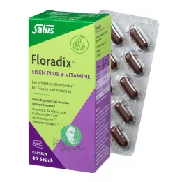 FLORADIX Geležies plius B vitaminų kapsulės, 40 vnt