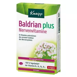 KNEIPP Valerian plus nerve vitamins dražė, 40 vnt
