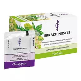 ERKÄLTUNGSTEE Bombastus filtrų maišeliai, 20X2 g