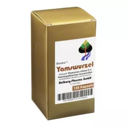 YAMSWURZEL KAPSULES, 120 vnt