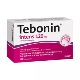 TEBONIN intens 120 mg plėvele dengtos tabletės, 120 vnt