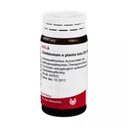 CHELIDONIUM E planta tota D 3 Globuli, 20 g