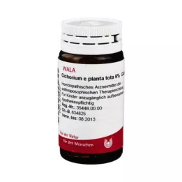 CICHORIUM E planta iš viso 5 % rutuliukų, 20 g