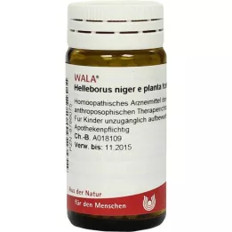 HELLEBORUS NIGER e planta tota D 6 Globuli, 20 g