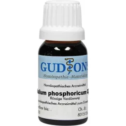 KALIUM PHOSPHORICUM Q 2 tirpalas, 15 ml