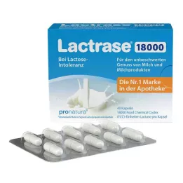 LACTRASE 18 000 FCC kapsulių, 40 vnt