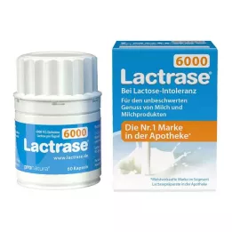 LACTRASE 6000 FCC kapsulių, 60 vnt