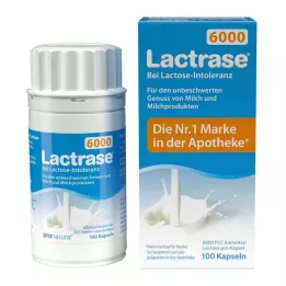 LACTRASE 6000 FCC kapsulių, 100 vnt