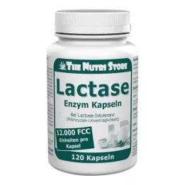 LACTASE 12 000 FCC Fermentų kapsulės, 120 vnt