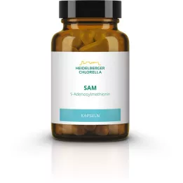 SAM S-ADENOSYLMETHIONIN kapsulės, 60 vnt