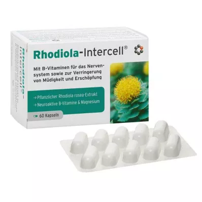 RHODIOLA-INTERCELL kapsulės, 60 vnt