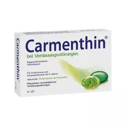 CARMENTHIN virškinimo sutrikimams msr.Minkštos kapsulės, 14 vnt