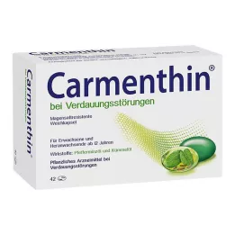 CARMENTHIN virškinimo sutrikimams msr.Minkštos kapsulės, 42 vnt