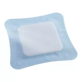 VLIWASORB Pro superabsorbent komp. sterilus 22x22 cm, 10 vnt