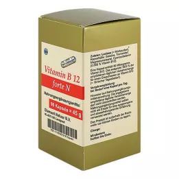 VITAMIN B12 FORTE N kapsulės, 90 vnt