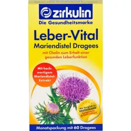 ZIRKULIN Leber-Vital Milk Thistle tabletės, 60 vnt