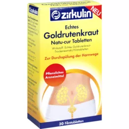 ECHTES GOLDRUTENKRAUT Natu-cur 600 mg plėvele tabletė, 30 vnt