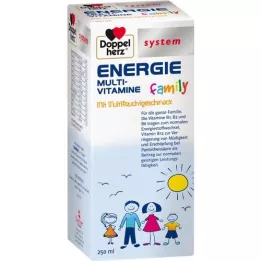 DOPPELHERZ Energijos šeimos sistemos skystis, 250 ml