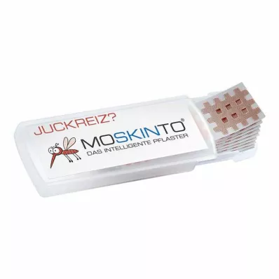 MOSKINTO Gipsas, 24 vnt