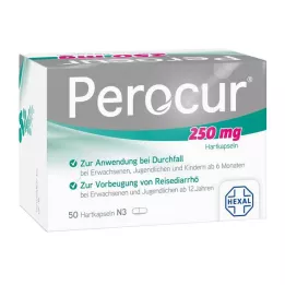 PEROCUR 250 mg kietos kapsulės, 50 vnt