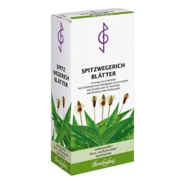 Šoninių gysločių lapų arbata, 75 g