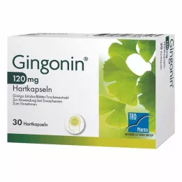 GINGONIN 120 mg kietos kapsulės, 30 vnt