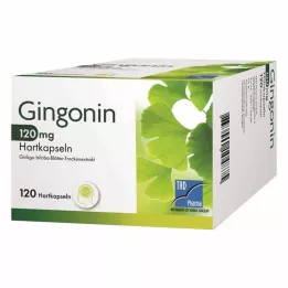 GINGONIN 120 mg kietos kapsulės, 120 vnt